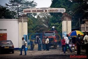 Kinshasa : Le zoo bientôt remplacé par un marché moderne, entre modernisation et mémoire urbaine